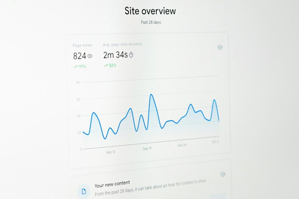 Site genel bakış ekranında ziyaret grafiği